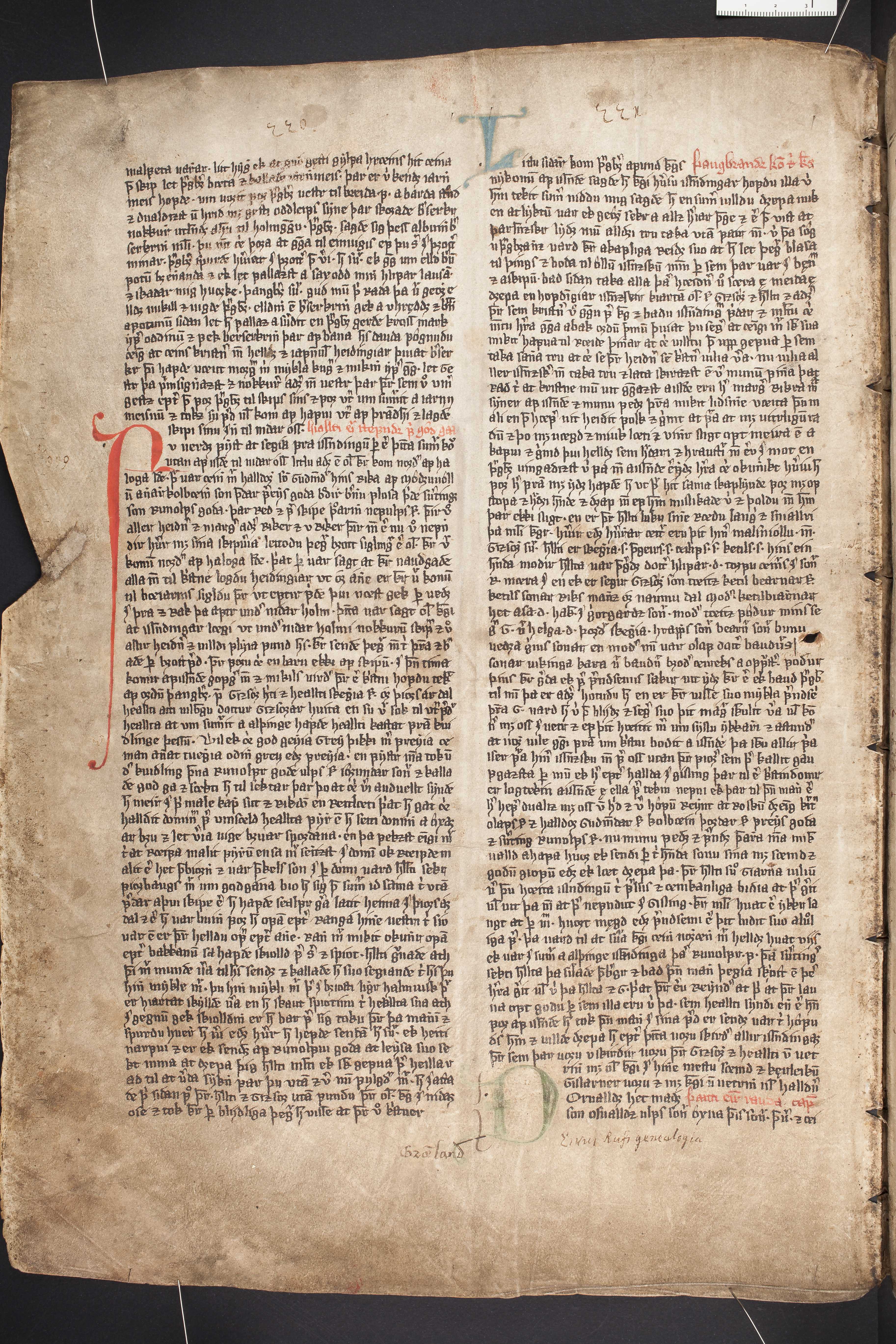 Page from Flatjarbok